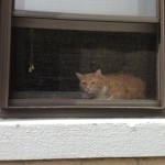 20130608-153555.jpg